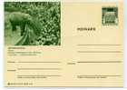 ELEPHANT / ZOO / RUHRZOO / ENTIER POSTAL ALLEMAGNE - Elefantes