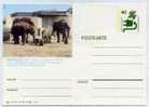 ELEPHANT / ZOO  MUNSTER /ENTIER POSTAL ALLEMAGNE / STATIONERY GERMANY - Elefantes