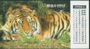 Tiger - Tigre - Tijger - A Sleeping Tiger Postcard With The Monthly Calendar Of 1998-01 - Tigers