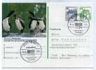 OISEAUX / CANARD/ ENTIER POSTAL ALLEMAGNE/ ZOO WILHELMA STUTTGART - Anatre