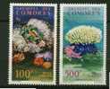 Comores ** PA N° 5 - 6 - Faune Et Flore Marine - Altri & Non Classificati