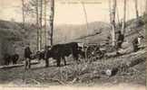 Auvergne Puy De Dôme    63    .Bucherons En Foret  (voir Scan) - Auvergne Types D'Auvergne