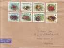 Solomon Islands - Crabes - Sur Lettres - Crustáceos