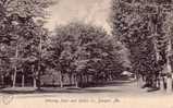 B&W Card - Bangor - Maine - Whitney Park And Cedar St. - 1910 - Simple Back - Travelled - Other & Unclassified