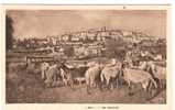 06 - BIOT - Vue Générale. ( Berger Gardant Ses Chèvres Et Ses Moutons) - Biot