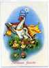 ENTIER POSTALE / STATIONERY / ROUMANIE / CANARD / POUSSIN / CHAMPIGNON / PAQUES - Easter