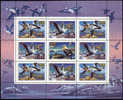 RUSSIA - RUSSIE - RUSLAND : 01-07-1993 (**) : Sheetlet Of 9v : Nature - Ducks - Canards - Eenden   Serie II - Anatre