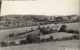 WESTOUTER - Zwartberg - Panorama - Heuvelland