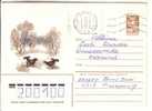 GOOD USSR POSTAL COVER 1984 - Pheasants (used) - Gallinacées & Faisans