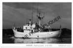 3456 Navire Hydrographe "ALIDADE" (05-10-1972) Marine Nationale - Photo Marius Bar - Guerre