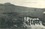 48 - LOZERE - MARVEJOLS - PIC Du MIDI - PAYSAN Avec Ses BOEUFS - AGRICULTURE - Edit. TESSON 30 - Marvejols