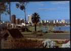 -SKYLINE FROM FLORAL CLOCK,KING'S PARK. - Autres & Non Classés