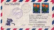 L062/  Luxemburg, KLM Erstflug – Afghanistán 1955 Mit Blumenfrankatur (Tulpen) - Storia Postale