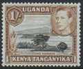 KENYA - 1949 1/- King George VI. Perf 13 X 12.5. Scott 80a. - Kenya (1963-...)