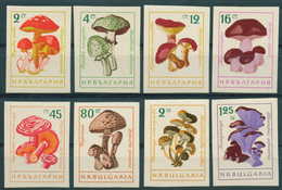 1323 Bulgaria 1961 Plants >  Mushrooms Various Mushrooms Imperf - / Pilze Bulgarie Bulgarien Bulgarije - Nuovi