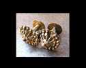 Boucles Tharu / Tharu Metal Earings - Volksschmuck