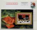 Rose Flower,China 2000 Hangzhou High School Advertising Postal Stationery Card - Roses