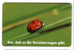 LADYBIRD - Coccinelle - Lady-bird - Coccinelles - Bug – Insect - Insecte - Child - Enfant - Childrens - Germany - Sonstige & Ohne Zuordnung