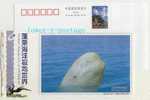 China 2005 Penglai Ocean Aquarium World Postal Stationery Card Arctic Beluga Whale - Walvissen