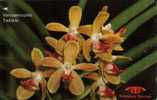 SINGAPORE $10 TWINKLE    ORCHID  ORCHIDS  FLOWER FLOWERS  CODE: 14SIGB VERY BIG SERIAL NUMBER - Singapour