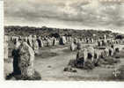 5176 Carnac Bel Alignement Du Ménec . 0833 Jos . - Dolmen & Menhire