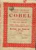 BRUXELLES "Produits Chimiques, Tannants & Colorants COBEL Sa" Action De Capital De 100 Fr - Capital : 500.000 Fr - Industrie