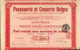 BRUXELLES "Peausserie & Couperies Belges" - 25000 Parts Sociales - Textil