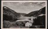 Le Lac De Silan Nantua - Nantua