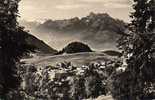 Leysin - La Boule De Gomme Et Les Dents Du Midi - 1968 - Leysin