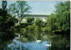 Carte Postale Saint-amand-les-Eaux - Saint Amand Les Eaux