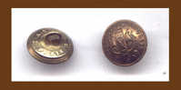 REPUBLIQUE FRANCAISE ( FAISSEAU ) A.M. Et Cie - 15 Mm - Boutons