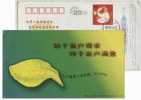 Golden Tobacco Leaf,China 2004 Jiujiang Cigarette Company Order Hotline Advertising Pre-stamped Card - Tabacco