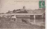 17.395/ST SAVINIEN - Le Pont Et La Charente (Braun N°2330) - Pont-l'Abbé-d'Arnoult