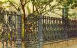 New Orleans Louisiana - Cornstalk Fence - New Orleans