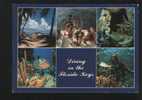 FLORIDA KEY  Postcard USA - Key West & The Keys