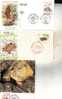 3 Tortoise Postcard & Cover - 3 Carte De Tortue + FDC - Tortues