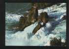 RHEINFALL Postcard SWITZERLAND - Alpinisme