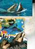 3 Dolphin Postcards - 3 Carte De Dauphins - Delphine