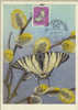 PAPILLON Carte Avec Timbre Et Tampon(avec Un Papillon Sur Le Tampon) / Dessin Signé C.Zelina - Butterflies