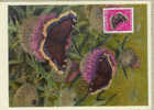 PAPILLONS Carte Avec Timbre Et Tampon(avec Un Papillon Sur Le Tampon) / Dessin Signé AILT? - Butterflies