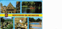 Carte Postale Munster - Munster