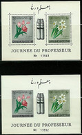 AFGHANISTAN..1961..Michel# 595-596..2 Blocks...MNH. - Afghanistan