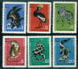 1884 Bulgaria 1968 Zoo Garden Sofia Animals ** MNH /Kronenkranich Crane Balearica Pavonina  /80 Jahre Zoo Sofia - Cranes And Other Gruiformes