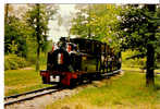 CP - TRAIN - LOCO 030 COUILLET ET SA RAME DE BALLADEUSES - Materiale