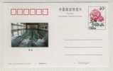 Swimming Pool,China 1999 Guangdong Weilun Sport School Advertising Postal Stationery Card - Nuoto