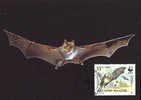 Bulgarie : CM Carte Maximum Chauve Souris Bat Mammifere Animal Vol Protection WWF - Fledermäuse