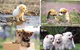 JAPON LOT 15 CARTES CHIENS DIFF SUPERBE - Hunde