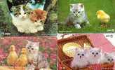 JAPON LOT 10 CARTES CHATS DIFF SUPERBES - Katzen