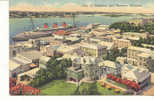 5508 City Of Hamilton And Harbour Bermuda ;  Yankee Store 220 . Paquebot - Bermuda