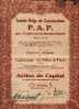 BRUXELLES "Soc. Belge De Construction P.A.P. Pour L´exploitation Des Procédés Pauchot SA" - Action De Capital - Industrial